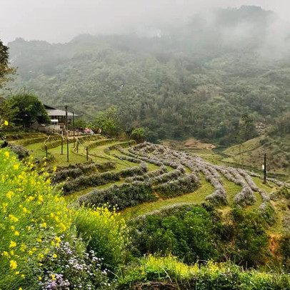 Nhiều nhà đầu tư tay ngang kiếm lời khủng nhờ trào lưu “bỏ phố về rừng”