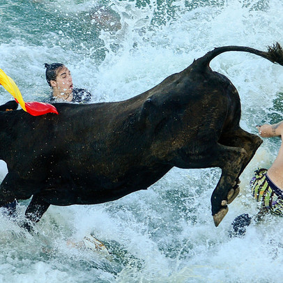 Nhiều nhóm cổ phiếu hồi phục, Vn-Index đảo chiều tăng điểm