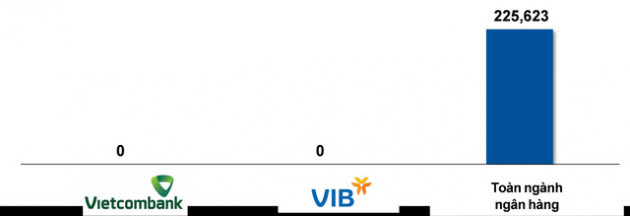 Nhìn lại hiệu quả kinh doanh của 2 ngân hàng đầu tiên đạt chuẩn Basel II - Ảnh 4.