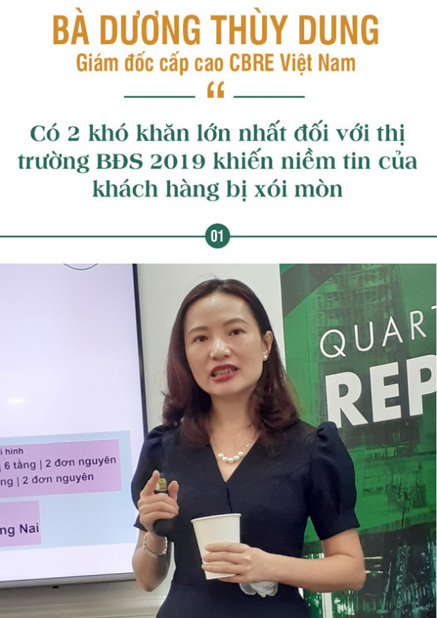 Nhìn lại một năm đầy khó khăn của thị trường bất động sản năm 2019 - Ảnh 1.