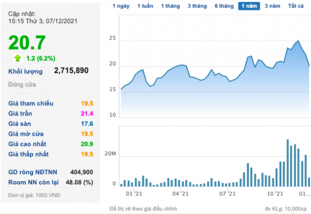 Nhìn lại NDN giữa sự cố CEO bị bắt: Đầu tư loạt dự án lớn trên địa bàn Tp. Đà Nẵng, cổ phiếu tăng miệt mài sau 10 năm niêm yết song kinh doanh không hề tương xứng - Ảnh 1.