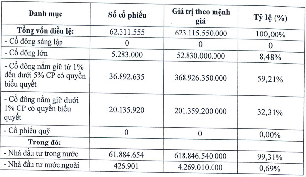 Nhìn lại NDN giữa sự cố CEO bị bắt: Đầu tư loạt dự án lớn trên địa bàn Tp. Đà Nẵng, cổ phiếu tăng miệt mài sau 10 năm niêm yết song kinh doanh không hề tương xứng - Ảnh 4.