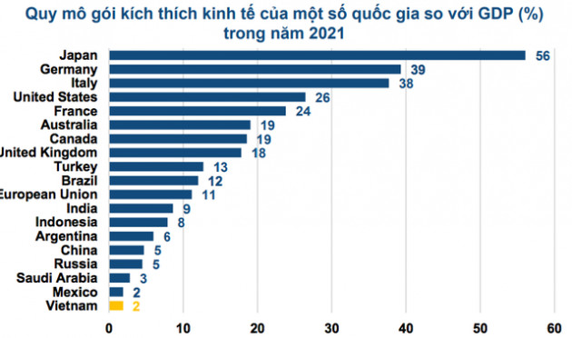 Nhìn lại quy mô các gói kích thích kinh tế của Việt Nam so với GDP năm 2021 - Ảnh 2.