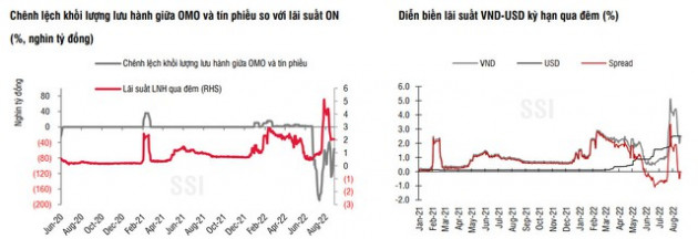 NHNN cấp tập hút tiền về bằng cả tín phiếu và bán ngoại tệ - Ảnh 1.