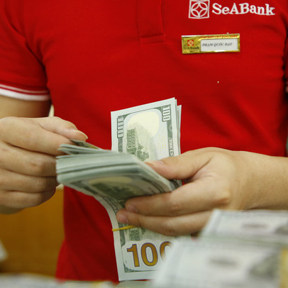 NHNN có thể hạn chế mua ròng ngoại tệ trong thời gian tới