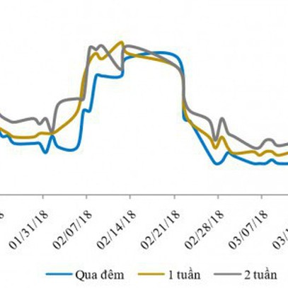 NHNN tiếp tục hút mạnh tiền về, lãi suất liên ngân hàng vẫn giảm