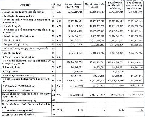 Nhờ khoản thu từ cổ tức, Nước Thủ Dầu Một (TDM) báo lãi quý 1/2021 cao nhất kể từ khi thành lập - Ảnh 1.