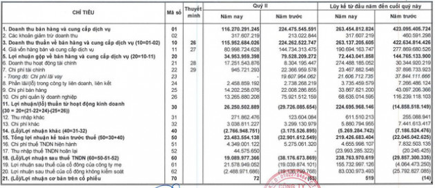 Nhờ tiết giảm chi phí, Ocean Group (OGC) báo quý 2 có lãi 19 tỷ đồng - Ảnh 1.