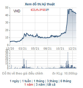 Nhóm Bamboo Capital tham gia đợt phát hành riêng lẻ 31 triệu cổ phiếu VHD - Ảnh 1.