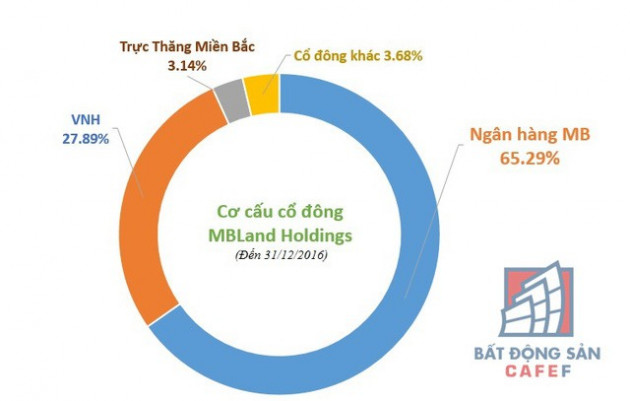 Nhóm cổ đông mới nắm quyền MBLand - Ảnh 1.