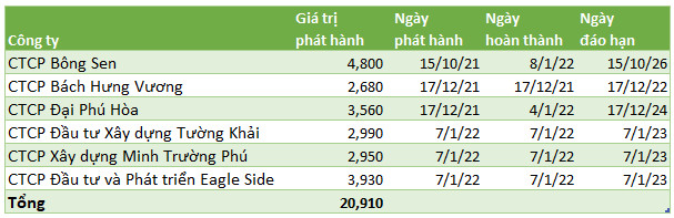 Chạy nước rút: Nhóm doanh nghiệp liên quan tập đoàn lớn đã huy động hơn 18.200 tỷ trái phiếu doanh nghiệp chỉ trong vài ngày - Ảnh 1.