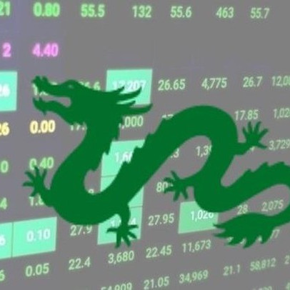 Nhóm Dragon Capital liên tục bán ra hàng triệu cổ phiếu GEX và DXG