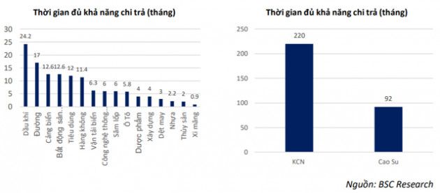 Nhóm Khu công nghiệp, cao su có khả năng trụ vững tốt nhất thị trường nếu dịch Covid-19 kéo dài - Ảnh 2.