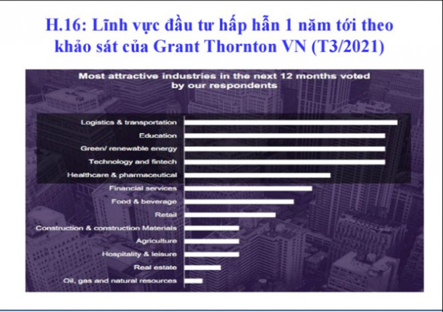  Nhóm ngành nào sẽ nổi lên hậu COVID-19? - Ảnh 1.