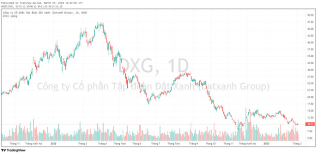 Nhóm quỹ Dragon Capital bán ròng gần 45 triệu cổ phiếu Đất Xanh (DXG) chỉ trong tháng 2 - Ảnh 1.