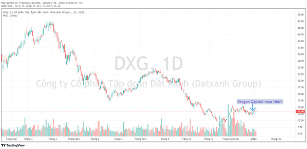 Nhóm quỹ Dragon Capital gom thêm hàng triệu cổ phiếu DXG và STB cuối năm 2022 - Ảnh 1.