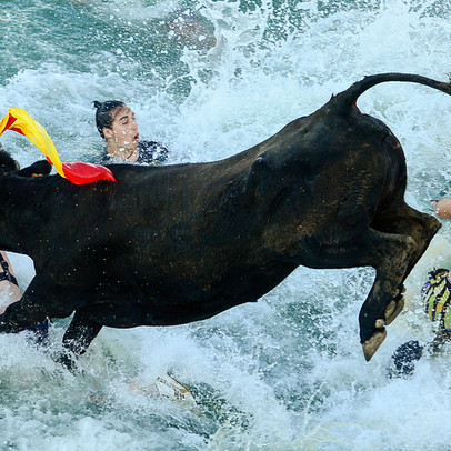 Nhóm VinGroup “hạ nhiệt”, Vn-Index trở lại vạch xuất phát trong phiên chiều