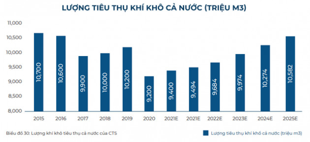 Nhu cầu tiêu thụ khí tăng mạnh trong dài hạn, cổ phiếu nào là tâm điểm đầu tư? - Ảnh 4.