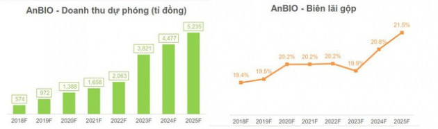 Nhựa An Phát (AAA) thay đổi chiến lược, hướng đến mục tiêu doanh thu tỉ USD năm 2025 - Ảnh 3.