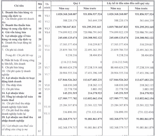 Nhựa Bình Minh (BMP) báo lãi 102 tỷ đồng quý 1, tăng hơn 12% so với cùng kỳ - Ảnh 1.