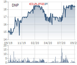 Nhựa Đồng Nai (DNP) chào bán 10 triệu cổ phiếu, tăng VĐL lên xấp xỉ 1.100 tỷ đồng - Ảnh 1.
