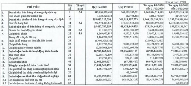 Nhựa Hà Nội (NHH) báo lợi nhuận quý 4/2020 tăng cao gấp gần 5 lần cùng kỳ - Ảnh 1.