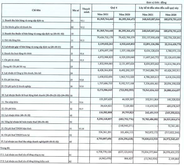 Nhựa Việt Nam (VNP): Năm 2021 báo lãi 75 tỷ đồng, cao gấp gần 3 lần cùng kỳ và gấp 5 lần chỉ tiêu kế hoạch năm - Ảnh 1.