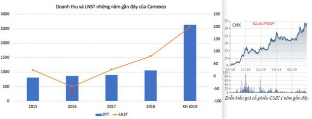 Những cổ phiếu tăng bằng lần từ đầu năm 2019 đến nay: Quán quân thuộc về 1 cổ phiếu tăng đến 70 lần - Ảnh 5.