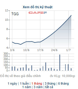 Những cổ phiếu tăng mạnh trong tháng 6: Hiện tượng của tháng thuộc về cổ phiếu có 11 phiên tăng trần liên tiếp - Ảnh 1.