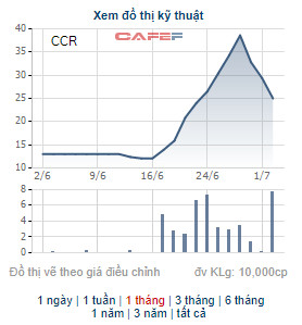 Những cổ phiếu tăng mạnh trong tháng 6: Hiện tượng của tháng thuộc về cổ phiếu có 11 phiên tăng trần liên tiếp - Ảnh 7.