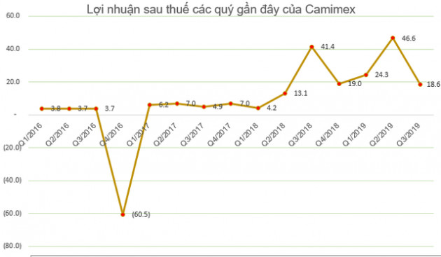 Những cổ phiếu tăng sốc – giảm sâu năm 2019 - Ảnh 10.