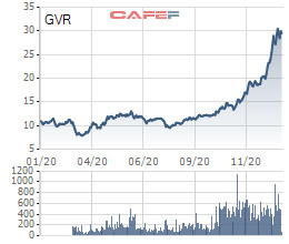 Những cổ phiếu tăng sốc nhất năm 2020: Quán quân thuộc về một cổ phiếu tăng 27 lần - Ảnh 8.