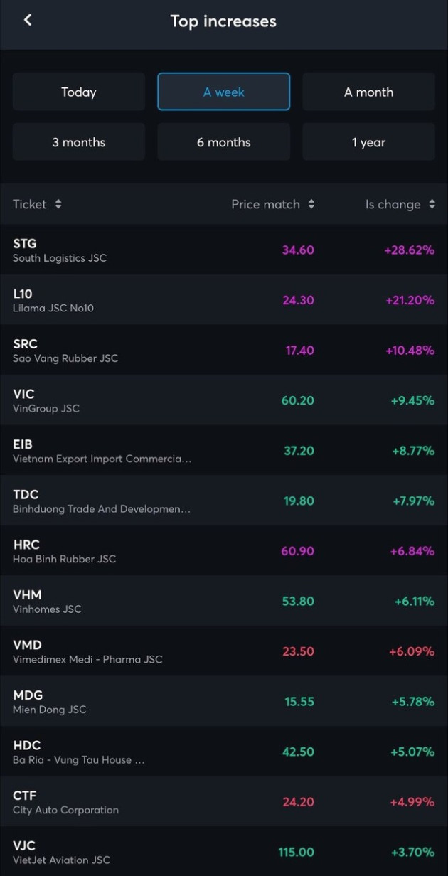 Những cổ phiếu tăng tốt nhất trong tuần thị trường giảm 96 điểm: Vingroup, Vinhomes góp mặt, 1 đại diện ngành logistics bất ngờ tăng 30% - Ảnh 1.