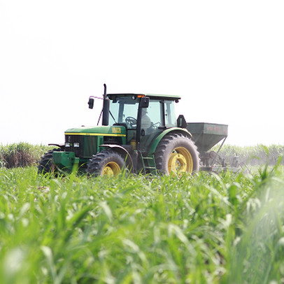 Những cổ phiếu tiềm năng nhưng giới đầu tư đang "thờ ơ"