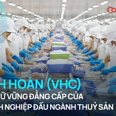 Những đại gia “bán cá buôn tôm” Việt lội ngược dòng ngoạn mục trong bão Covid 2021 là ai?