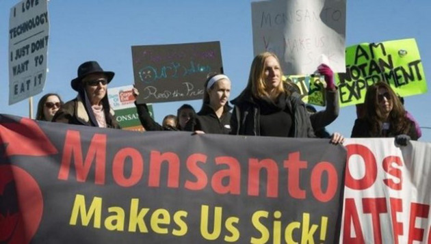 Những điều cần biết về Monsanto - tội đồ của môi trường toàn cầu