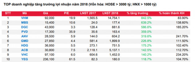 Những doanh nghiệp có lợi nhuận tăng ‘phi mã’
