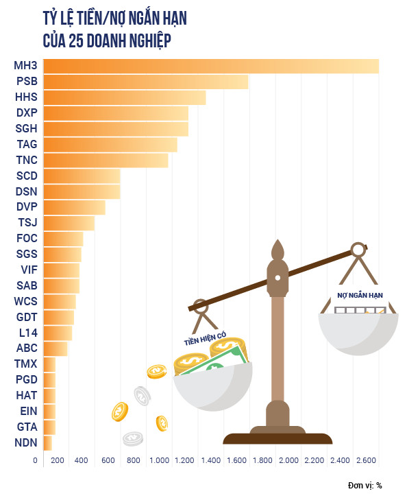 Những doanh nghiệp tiền nhiều không biết để làm gì trên thị trường chứng khoán - Ảnh 5.