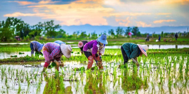 Những gánh nặng khiến Thái Lan mắc kẹt giữa Indonesia có tiềm lực lớn hơn và Việt Nam trẻ trung, năng động hơn - Ảnh 2.