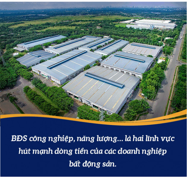 Những kế hoạch tăng trưởng bứt phá của doanh nghiệp bất động sản trong năm 2021 - Ảnh 6.