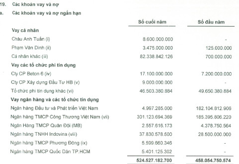 Những ngân hàng nào đang là chủ nợ của Descon? - Ảnh 1.