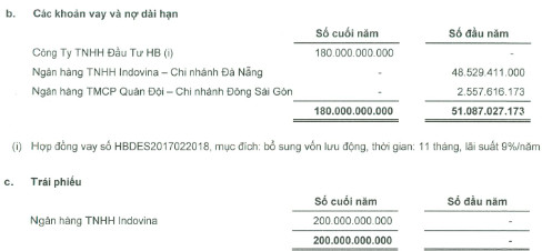 Những ngân hàng nào đang là chủ nợ của Descon? - Ảnh 2.