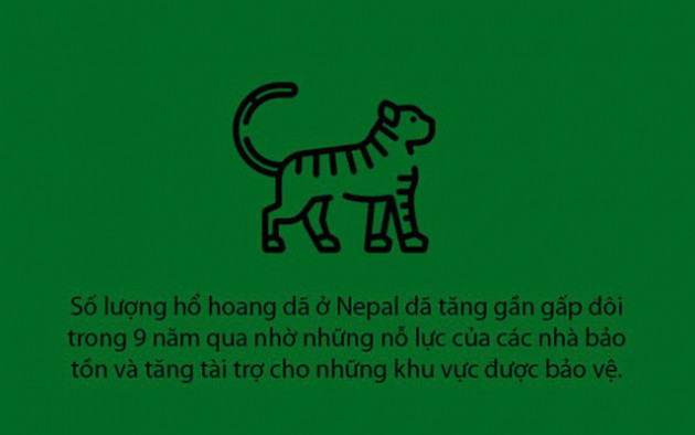 Những tin tốt năm 2018 trên thế giới khiến bạn lạc quan vào cuộc sống - Ảnh 9.