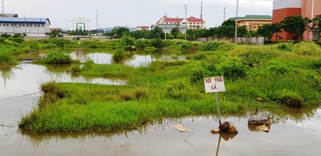 Ninh Bình: Xót xa hàng chục hecta đất vàng bỏ hoang giữa lòng thành phố - Ảnh 1.