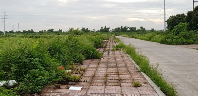 Ninh Bình: Xót xa hàng chục hecta đất vàng bỏ hoang giữa lòng thành phố - Ảnh 4.