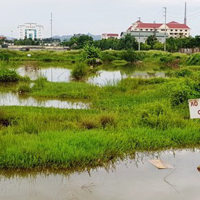 Ninh Bình: Xót xa hàng chục hecta "đất vàng" bỏ hoang giữa lòng thành phố