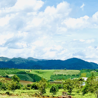 Nở rộ xu hướng "săn" đất làm nhà vườn