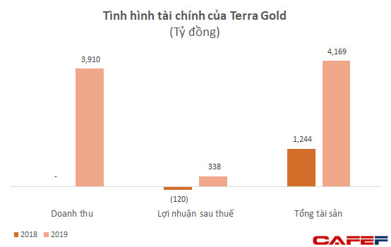 Nổi lên nhanh chóng với loạt dự án lớn, tình hình tài chính của nhóm MIKGroup đang ra sao? - Ảnh 3.