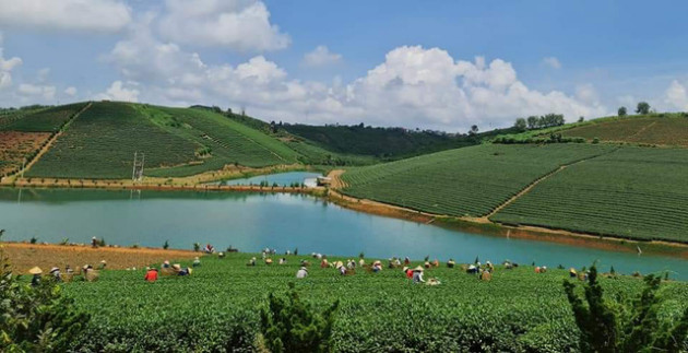 Nỗi lòng của cô gái trẻ khi những ngày bị “giam lỏng” trong nhà, ước mơ tự do ra vùng ngoại ô, sống trong căn nhà thứ hai hít thở chút không khí trong lành trở thành “xa xỉ phẩm”… - Ảnh 2.