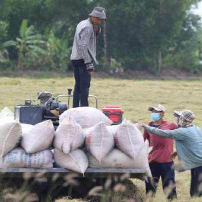 Nông dân dễ dính 'bẫy tín dụng' vì 'đói' vốn